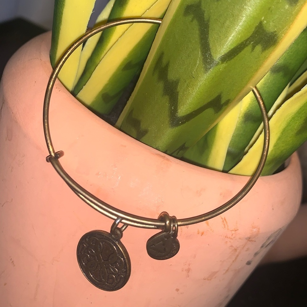 Alex and Ani + Energy Path of Life Infinity Bangle Bracelet - Picture 2 of 5